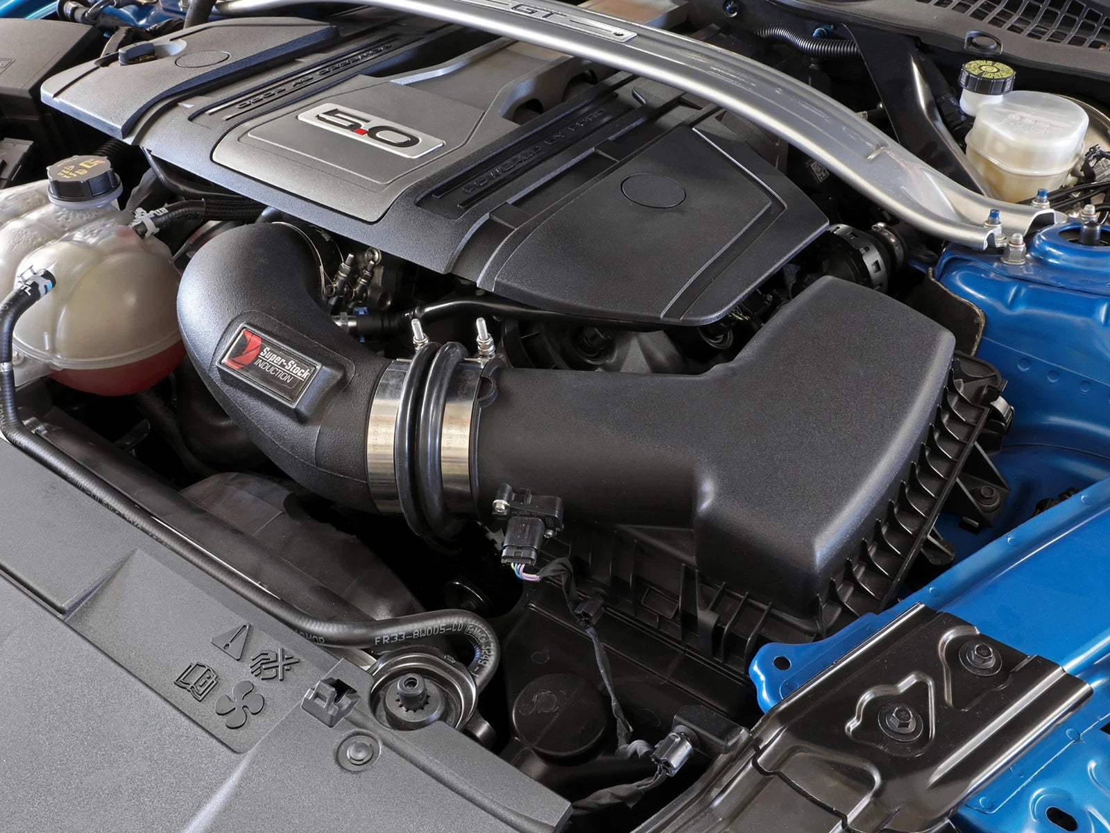 aFe Super Stock Induction System | Ford Mustang V8-5.0L (18-20) (55-10005D)