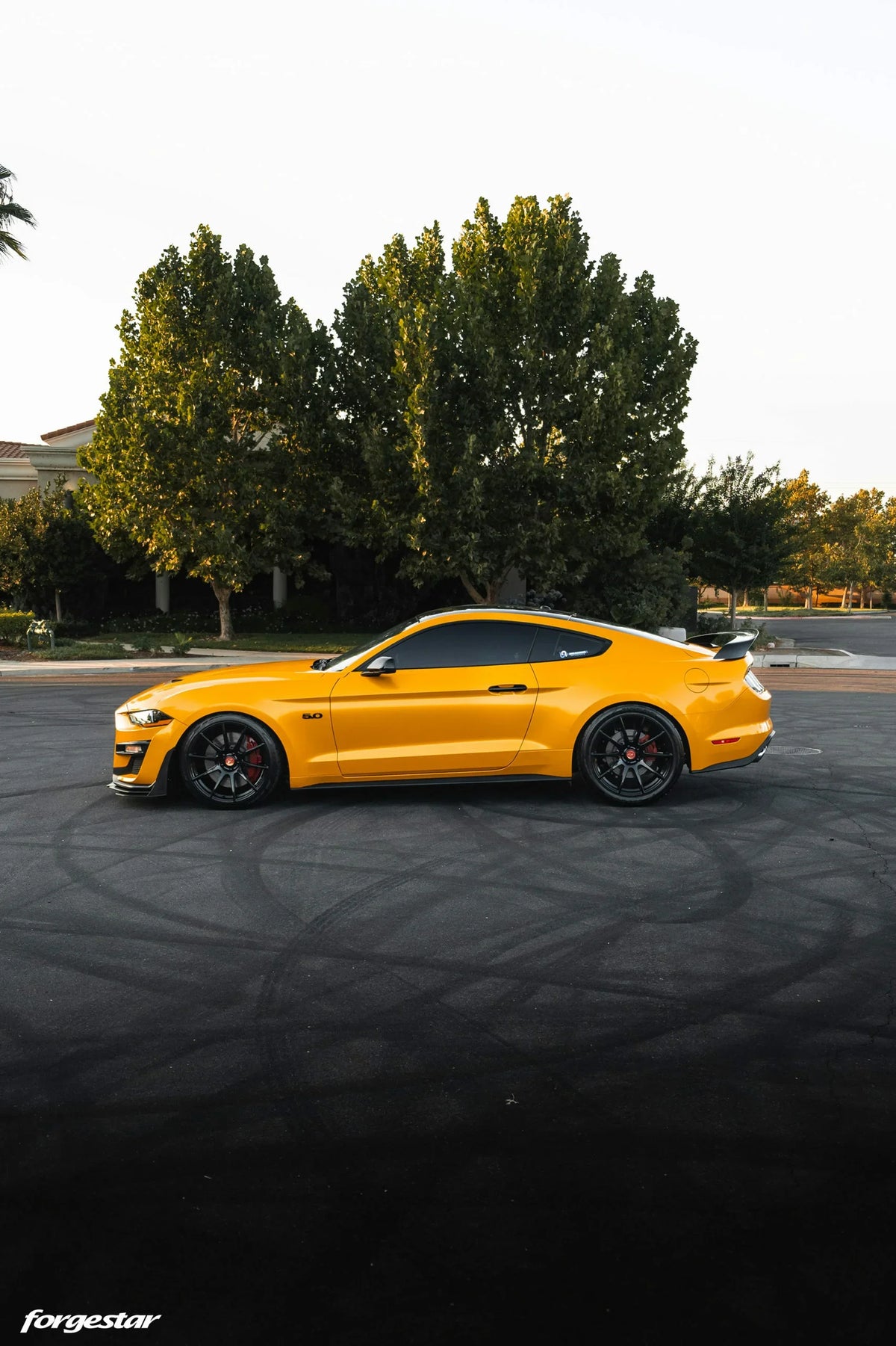 Forgestar CF10 Gloss Black | 19x10" +42mm | 5x114.3mm Wheel